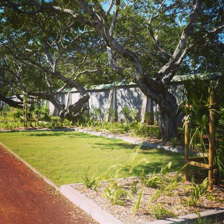 Maintenance de jardin Sainte-Marie