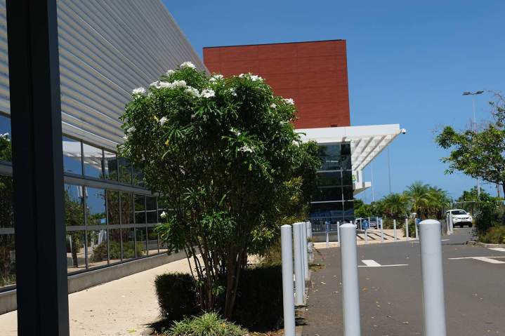 Conception d'espaces verts urbains Sainte-Marie