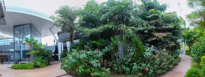 Conception d'espaces verts urbains Sainte-Marie