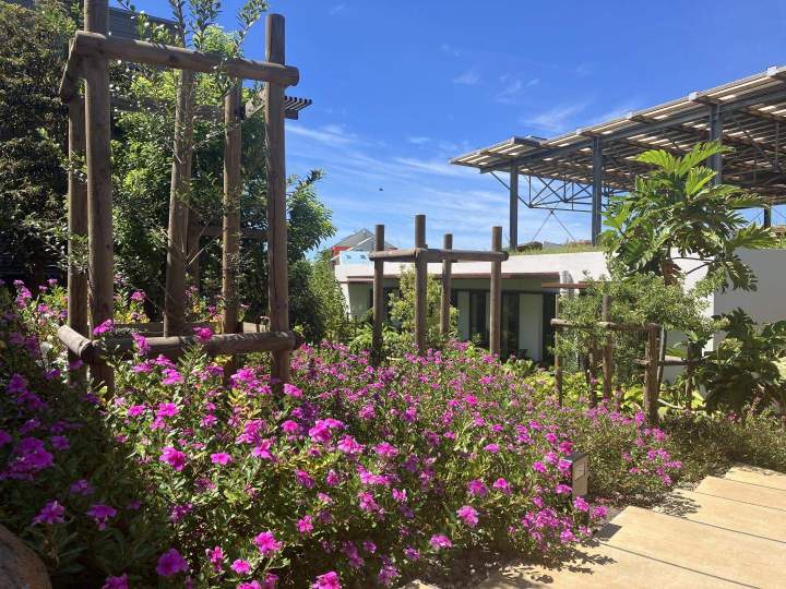 Gestion et développement paysager urbain Sainte-Marie