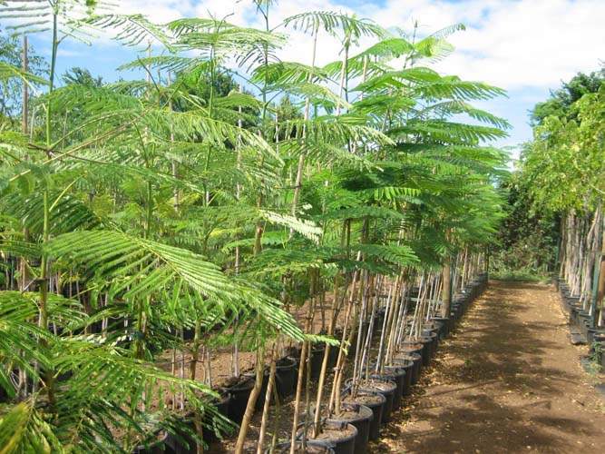 Centre de production horticole Sainte-Marie