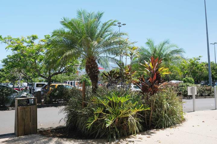 Réalisation d'espaces publics et verts Sainte-Marie