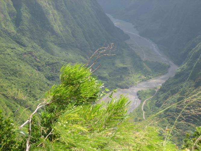 Pépinière biodiversité locale Sainte-Marie