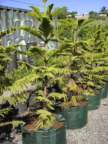 Centre de production horticole Sainte-Marie